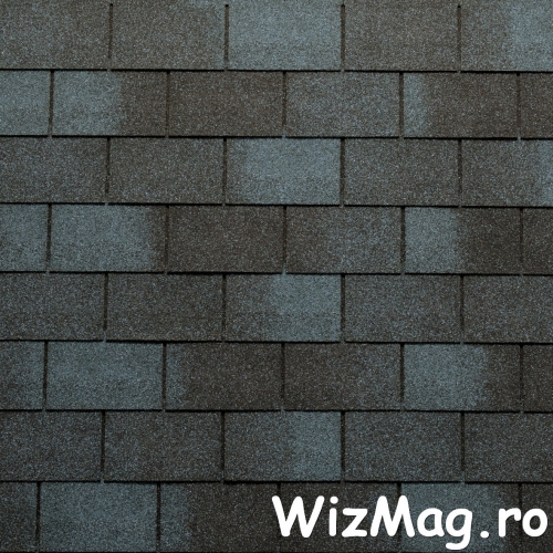 Sindrila bituminoasa Top Shingle Rectangular